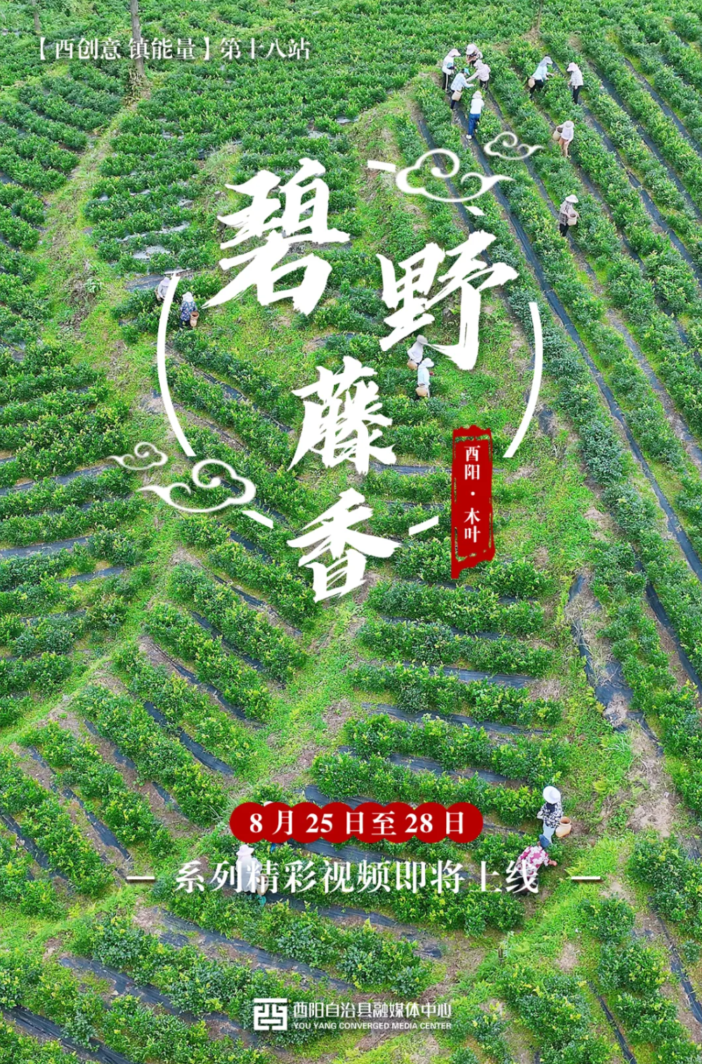 U020260827318092714578.png